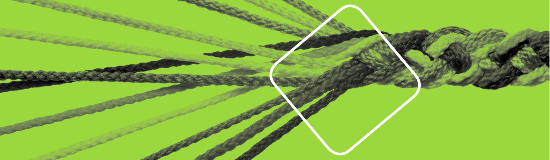 Dieses Bild zeigt einen Knoten in grün