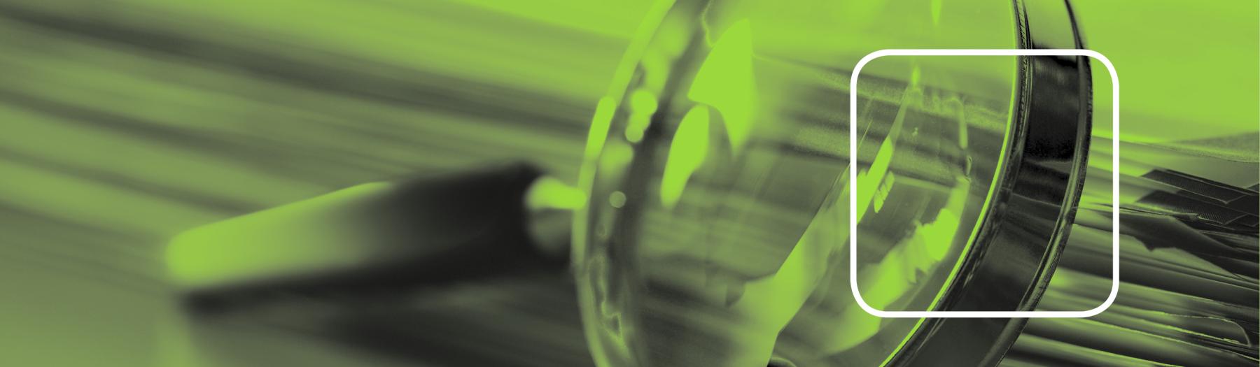 Das Bild zeigt eine Lupe in grün